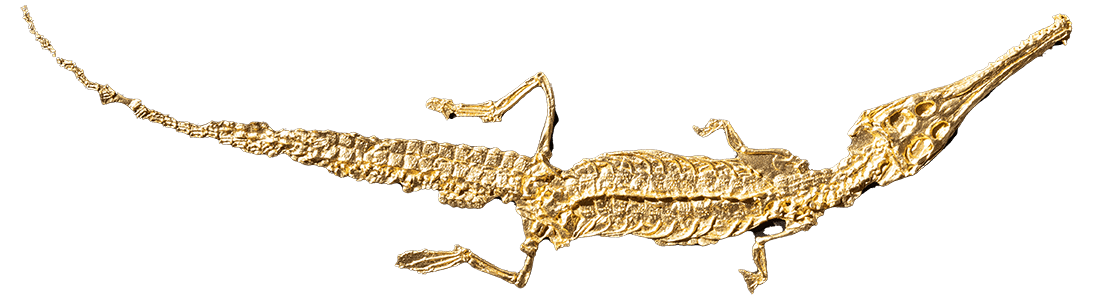 vergoldetes Urzeit-Krokodil