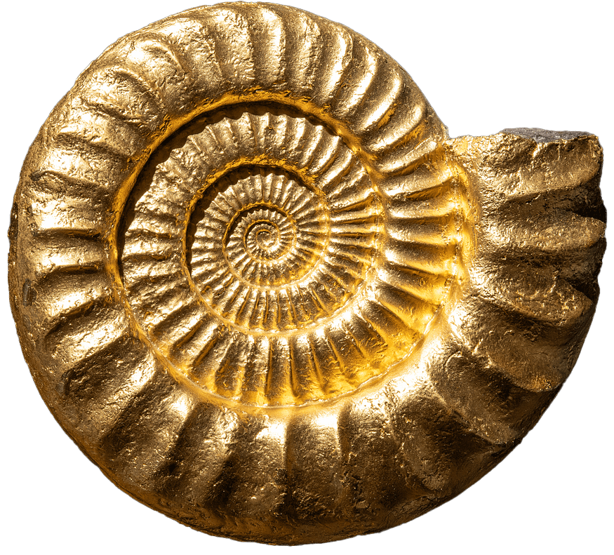 vergoldeter Ammonit