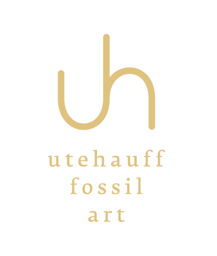 Ute Hauff | fossil art